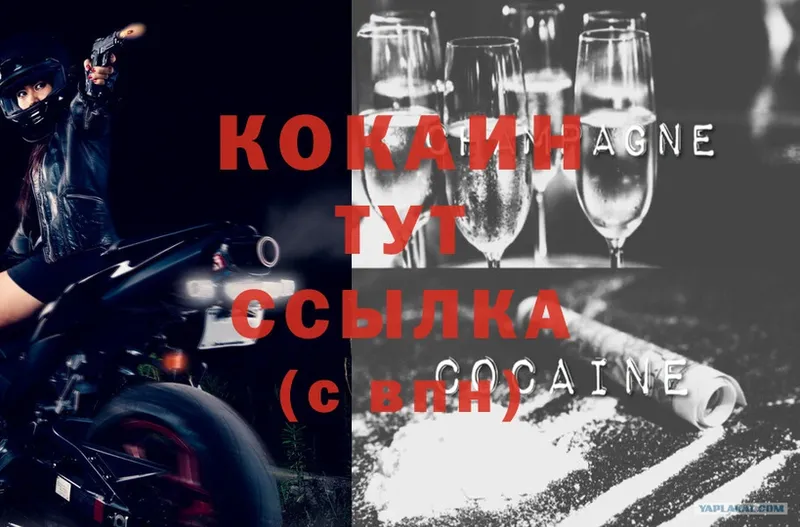 COCAIN Fish Scale  Куса 